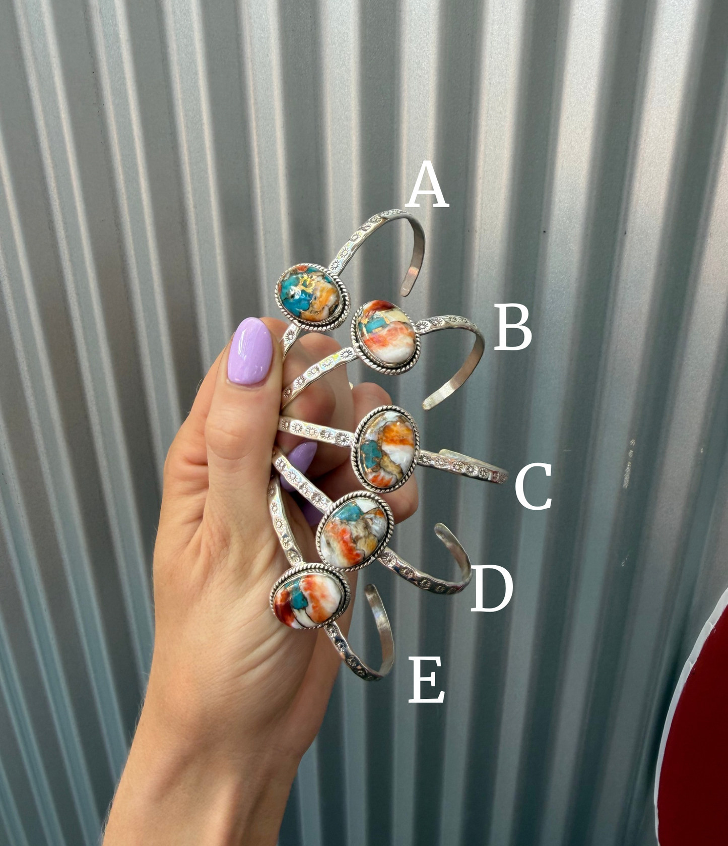 Carly Cuff Spiny Oyster