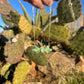 Wildwest Turquoise & Gold Necklace