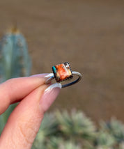 Square Ring Spiny Oyster