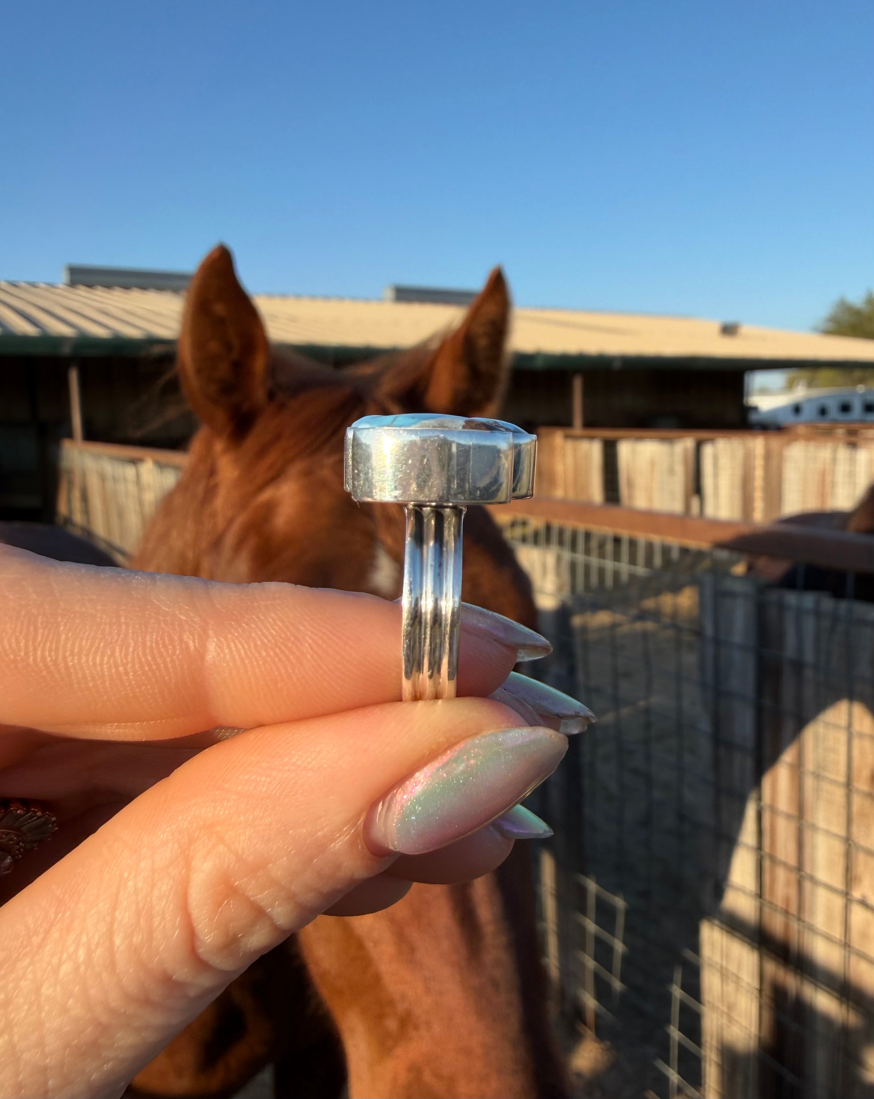 Navajo Golden Hills Adjustable Ring #2