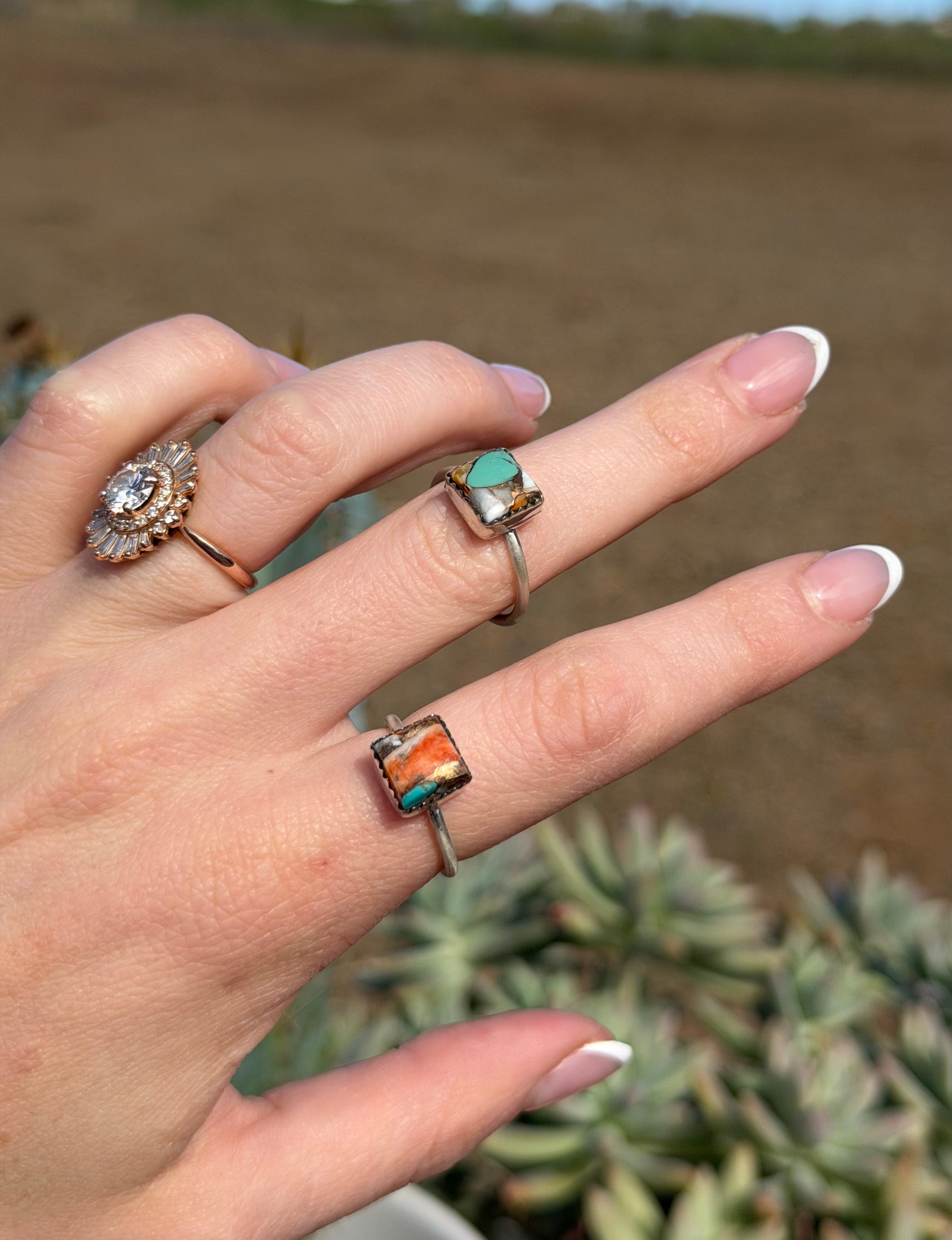 Square Ring Spiny Oyster